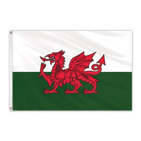 Wales Outdoor Nylon Flag 3'x5'